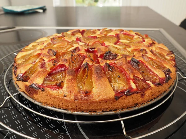 ベーキング皿の梅ケーキ 自家製 健康食品 有機食品 — ストック写真