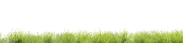 Fotorealistische Grashügel Auf Weißem Hintergrund Darstellung — Stockfoto