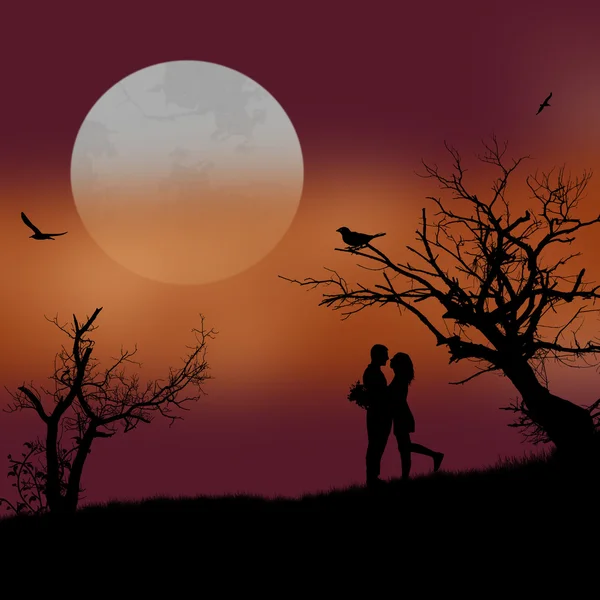 Los amantes de la hermosa puesta de sol — Vector de stock