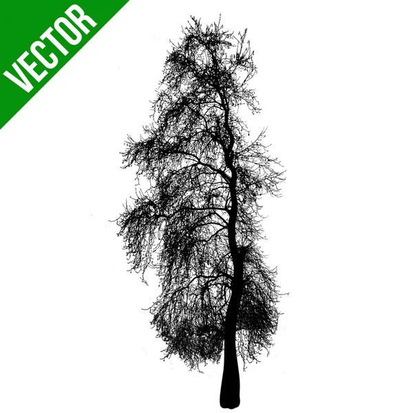 Silhouette d'arbre mort — Image vectorielle
