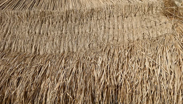 Thatch texture background — Stock Photo, Image