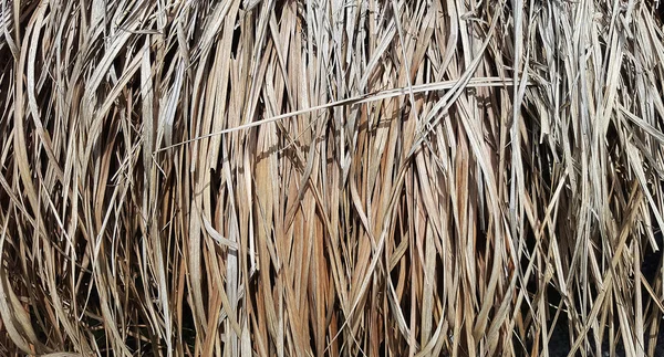 Thatch texture background — Stock Photo, Image