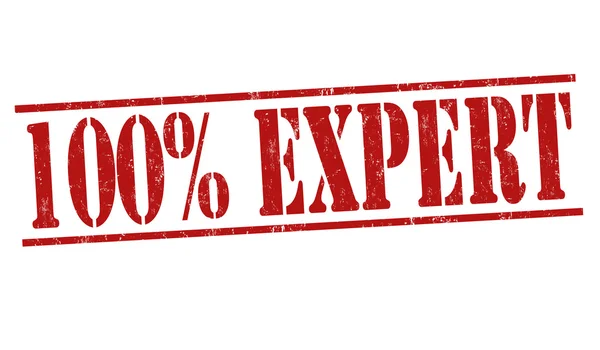 100% expert stämpel — Stock vektor