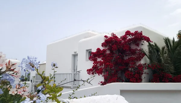 Prachtige architectuur gebouwen buitenkant in Mykonos eiland — Stockfoto