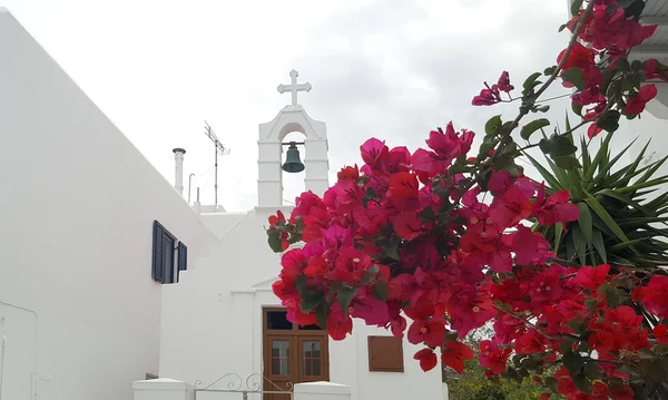 Witte kerk en rode Bougainvillea in Mykonos — Stockfoto