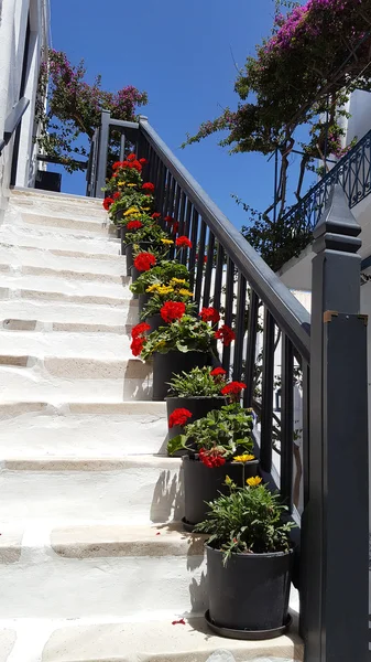 Flores en maceta en una escalera blanca —  Fotos de Stock