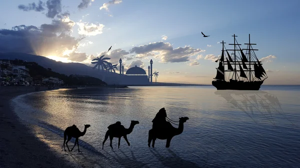 Camel caravan at sunset — Stock Photo, Image