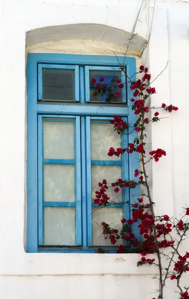 Vecchia finestra su un edificio bianco con bellissimi fiori bouganville — Foto Stock