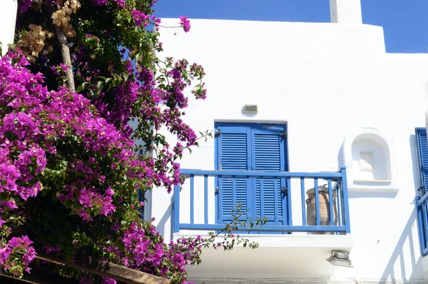 Velha janela azul em um edifício branco com belas flores bougainvillea — Fotografia de Stock