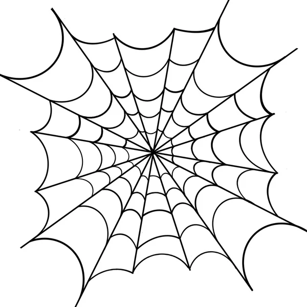 Spiderweb sobre fondo blanco — Vector de stock