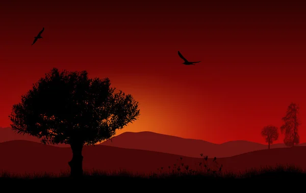 Hermoso paisaje con árbol en la mañana roja amanecer — Vector de stock