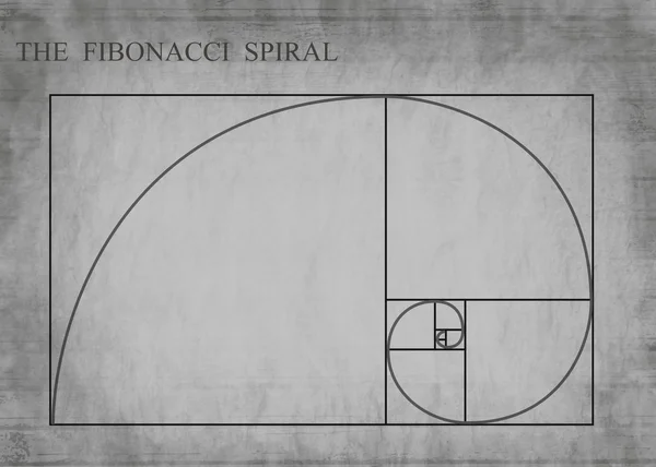 Die Fibonacci-Spirale im Retro-Stil — Stockvektor