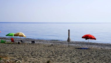 Boş sahildeki şempanzeler