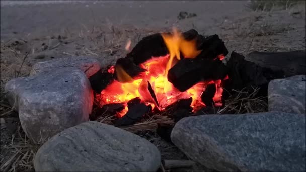 燃焼する石炭の完全な暖炉 明るい火災 屋外の風景の中に炭 — ストック動画