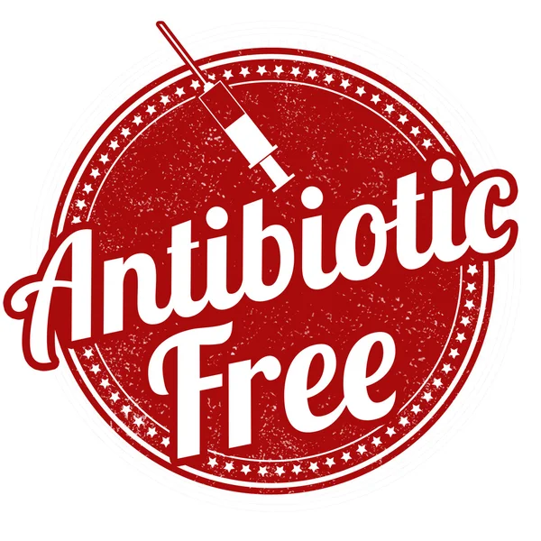 Timbro esente da antibiotici — Vettoriale Stock