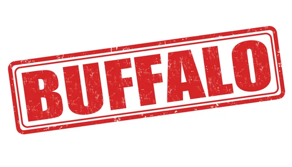Buffalo damgası — Stok Vektör