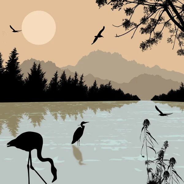 Heron een flamingo silhouetten op rivier — Stockvector