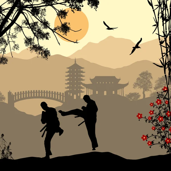 Karate en asiático paisaje — Vector de stock