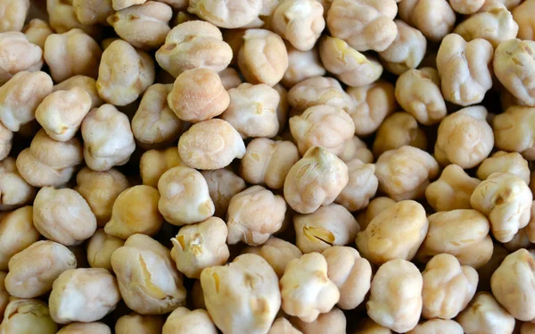 Antecedentes garbanzos — Foto de Stock