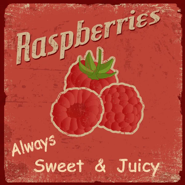 Raspberry retro poster — Stock Vector