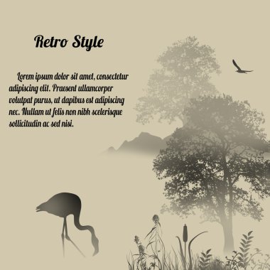 Sisli yerde gölde Flamingo siluet