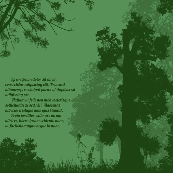 Bellissimi alberi della foresta — Vettoriale Stock