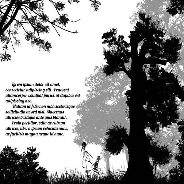Hermosa silueta de árboles forestales en blanco — Vector de stock
