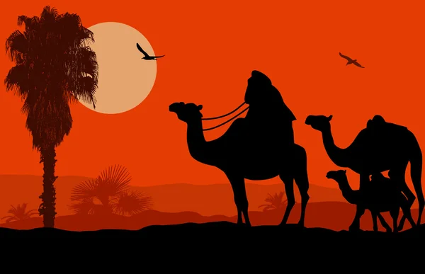 Caravana de camelo ao pôr do sol — Vetor de Stock