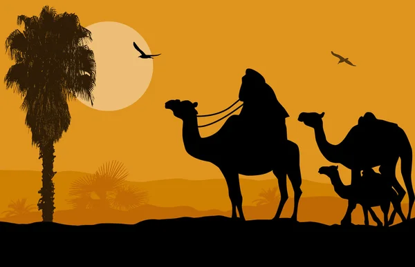 Camel caravan on sunset — Stock Vector