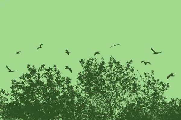 Árbol y ramas con aves voladoras — Vector de stock