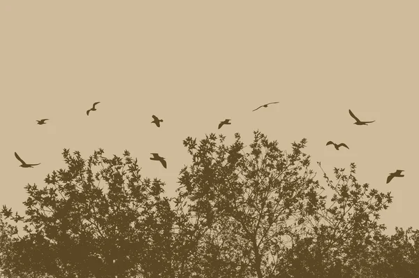 Árbol y ramas con aves voladoras — Archivo Imágenes Vectoriales
