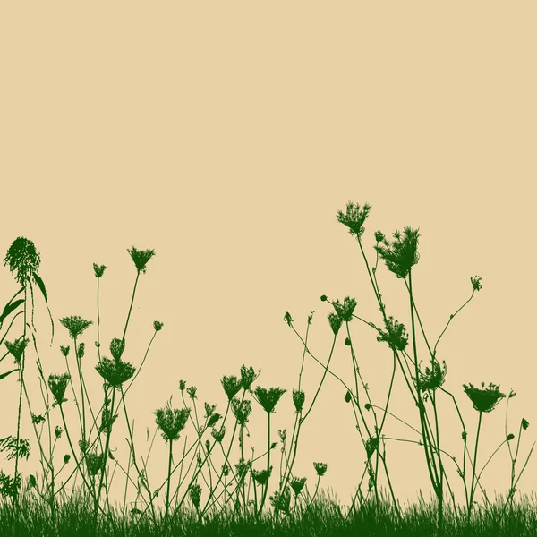 Přirozené divoké rostliny na trávě silueta — Stockový vektor