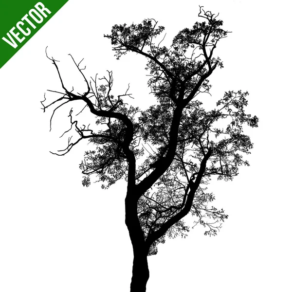 Silhouette d'arbre noir — Image vectorielle