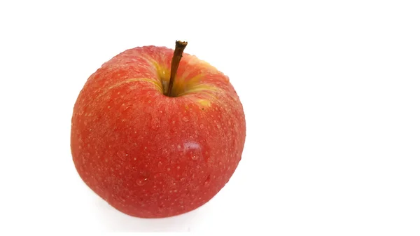 Manzana roja con gotas de agua —  Fotos de Stock