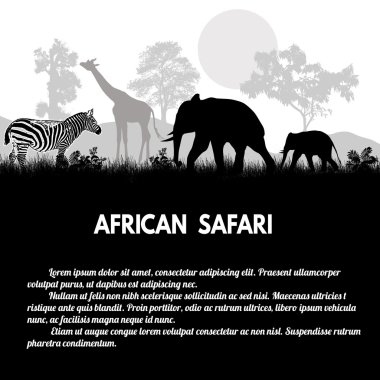 Afrika Safari poster