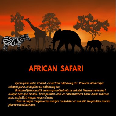 Afrika Safari poster