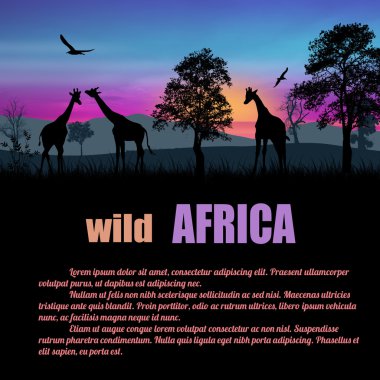 Vahşi Afrika poster