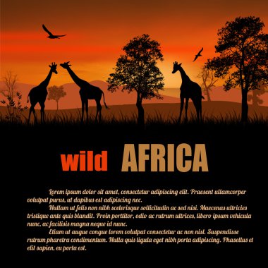 Vahşi Afrika poster