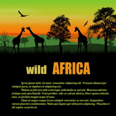 Vahşi Afrika poster