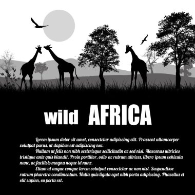 Vahşi Afrika poster