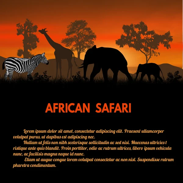 Cartaz de safári africano — Vetor de Stock