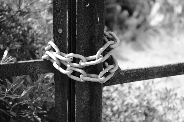 Ржавая цепь на воротах — стоковое фото