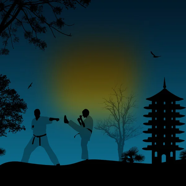 Karate in the beautiful asian landscape — Stock Vector