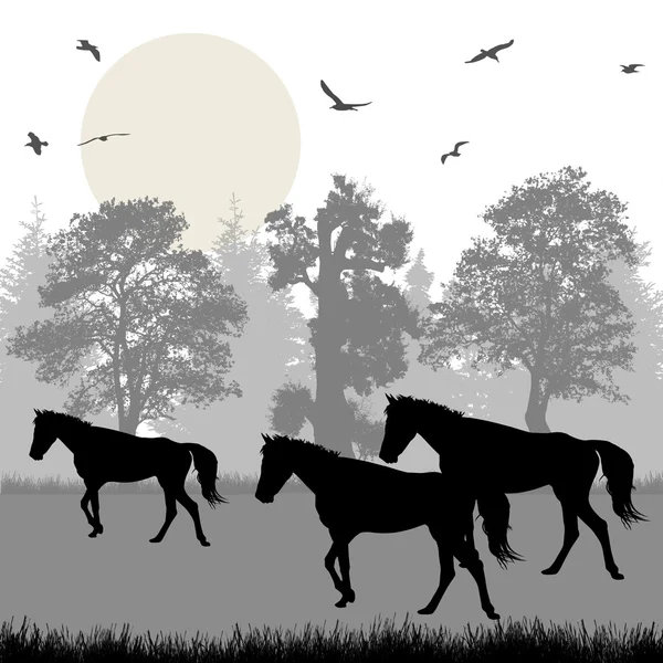 Silhuetas de cavalos — Vetor de Stock