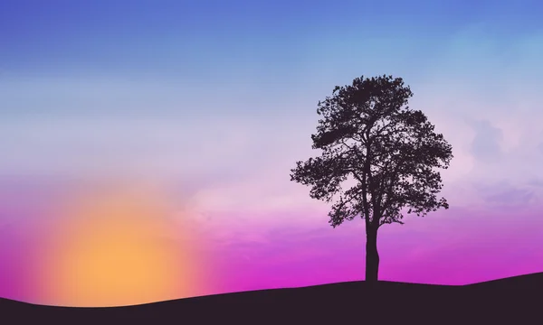 Un arbre solitaire sur un beau coucher de soleil — Image vectorielle