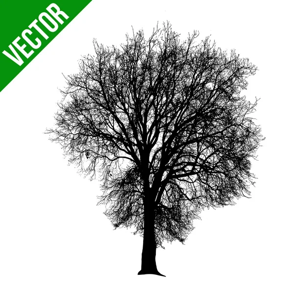 Силуэт мёртвого дерева — стоковый вектор