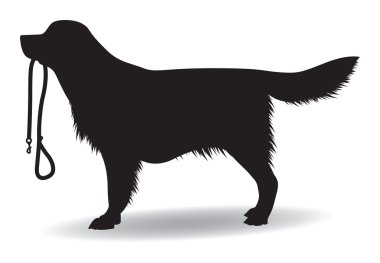 Köpek Silueti