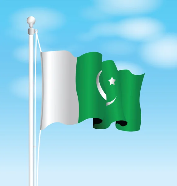Pakistan flagga bakgrund — Stock vektor