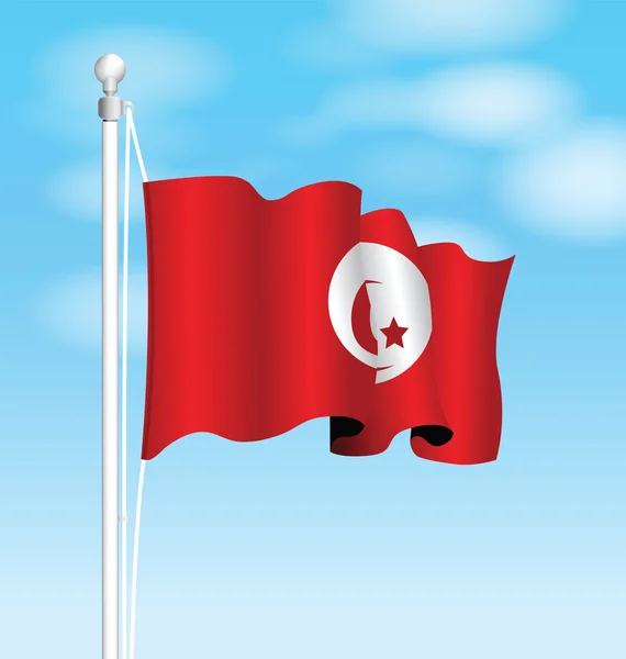 Tunisia national flag — Stock Vector