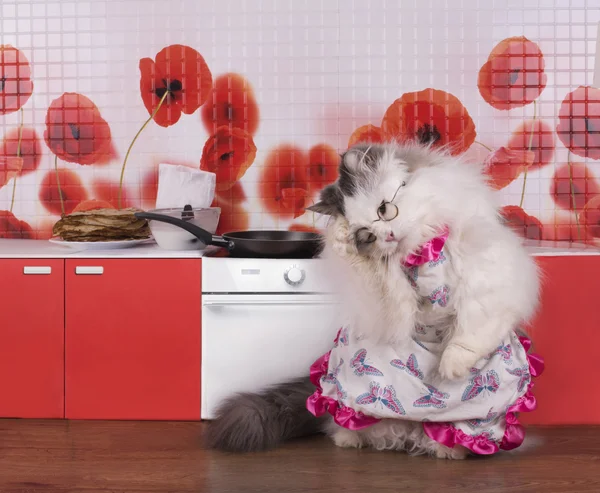 Домохозяйка кошки готовит блины на маленькой кухне — стоковое фото